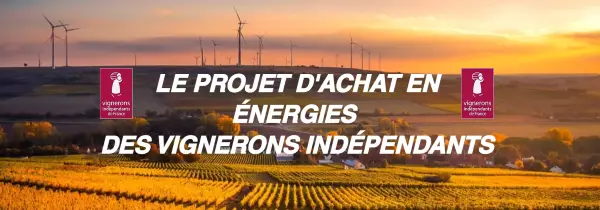 VIF Projet energie achat contrat groupe.png